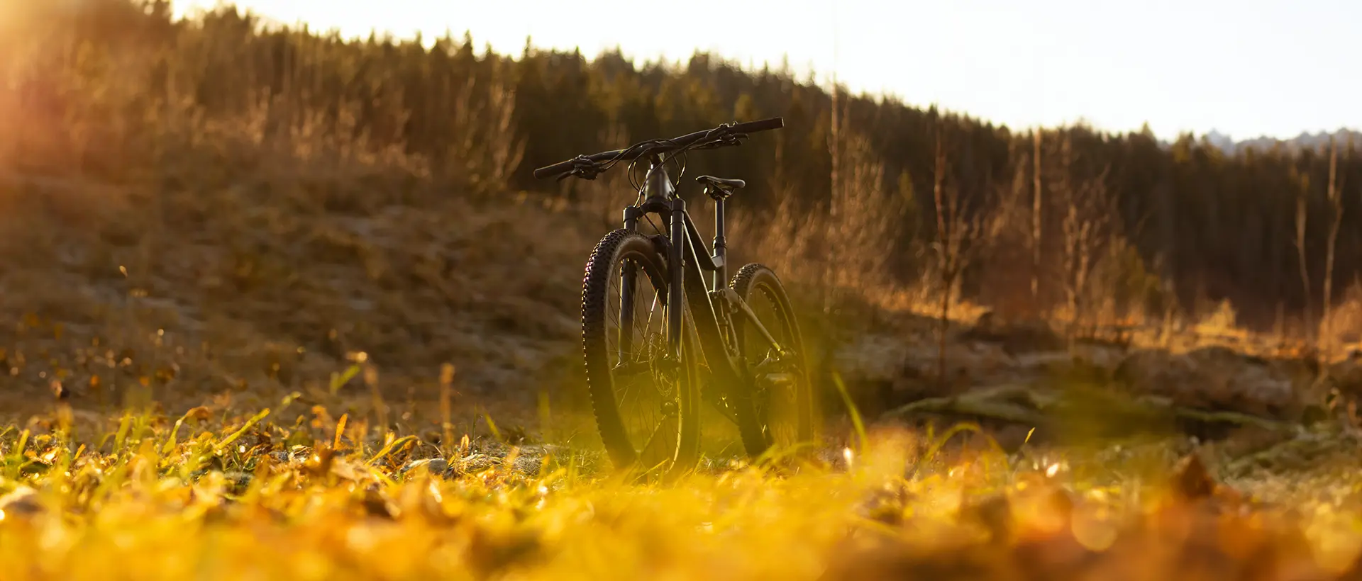 Guide du débutant pour choisir un vélo à assistance électrique