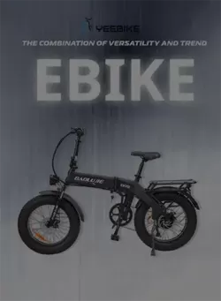 Your Electric Bike