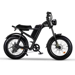 BICICLETA ELÉCTRICA URBAN DRIFT Z8 FAT TIRE PARA ADULTOS 0