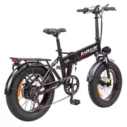 E-Bike BLJ-DZ2005 3