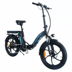 E-FAHRRAD BK6 2